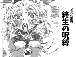 Mesuka Choukyou Syuusei no Jubaku