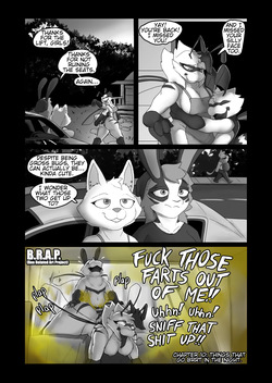 B.R.A.P. : Chapter 10 - Things that Go BRRT in the Night