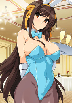 haruhisky harukichi
