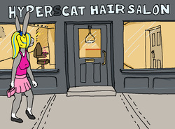 Hair Salon