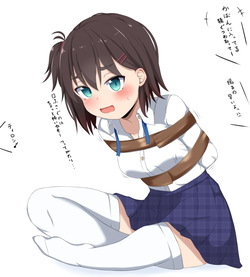 段丸