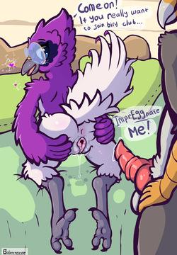 Bird Club