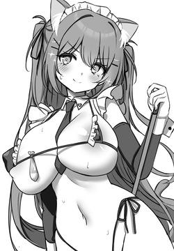 onibicat6016