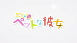 Sakurasou No Pet Na Kanojo