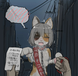 shelter