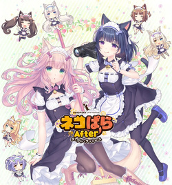 Neko Para After La Vraie Famille