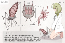 Insect Research Report No.25