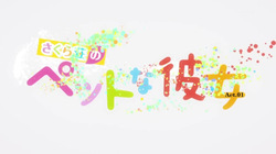 Sakurasou No Pet Na Kanojo