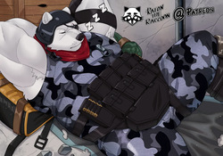 Polar Patroller