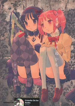 Puella Magi Madoka Magica