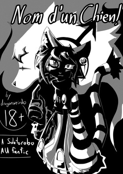 Solatorobo | Tail Concerto